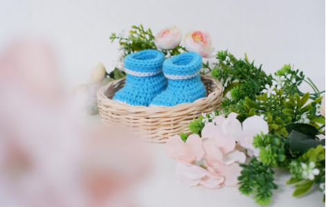 bunga kelahiran-bayi